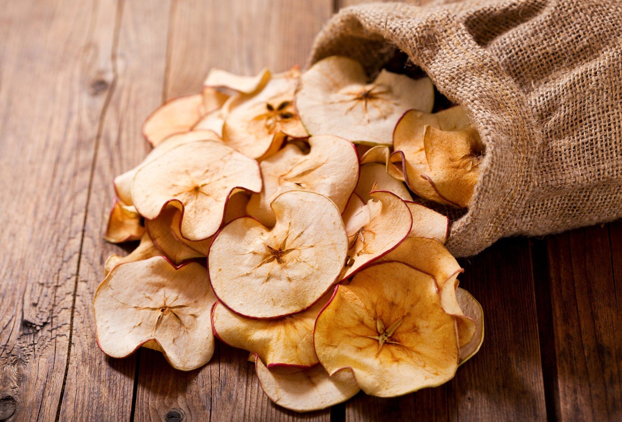 Food Dehydrator Snacks & Meals You Will Fall In Love With!