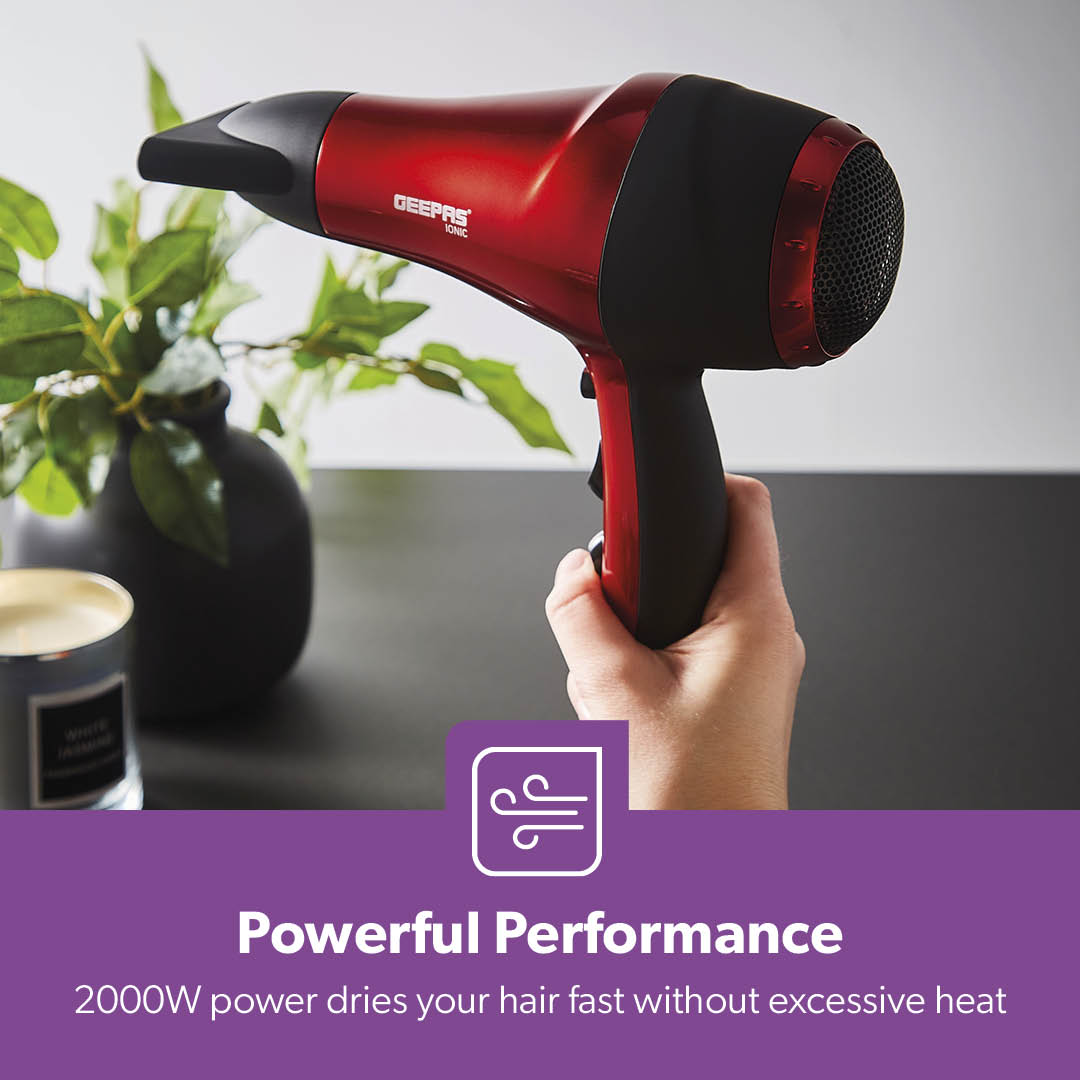 2000W IONIC Professional Two-Speed Hair Dryer