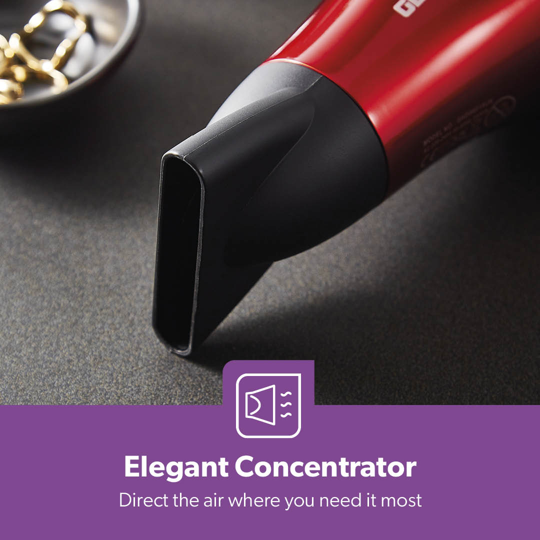 2000W IONIC Professional Two-Speed Hair Dryer