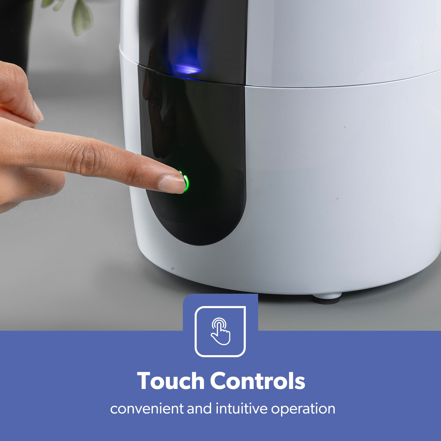 2.6L Ultrasonic 2-Speed Cool Mist Humidifier