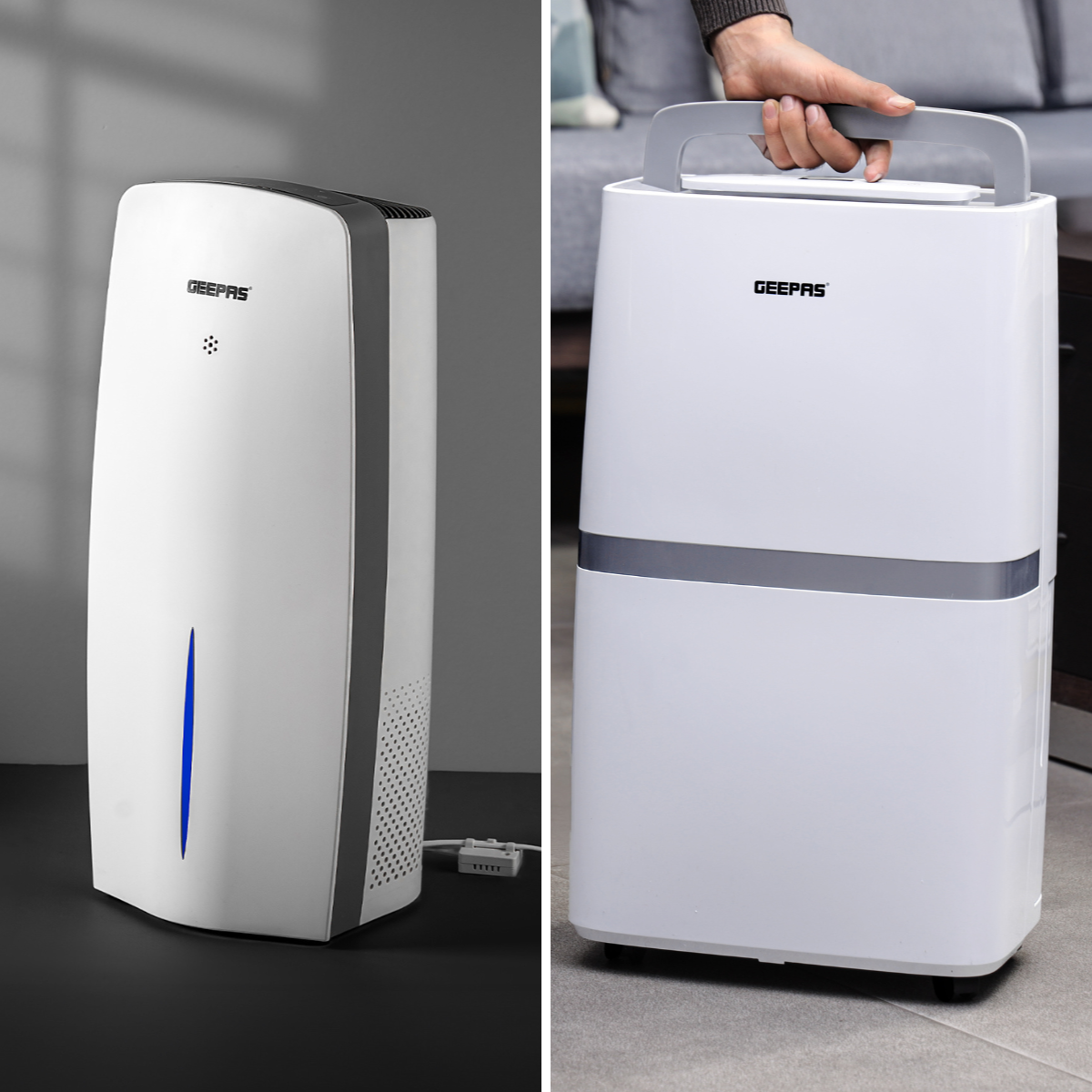 Dehumidifiers vs Air Purifiers: Which One Do You Need?