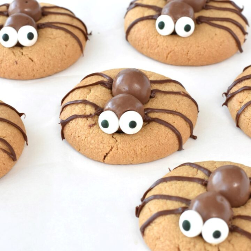 Halloween Spider Biscuits Recipe
