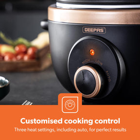 6.5L Black and Gold Slow Cooker With Three-Heat Settings