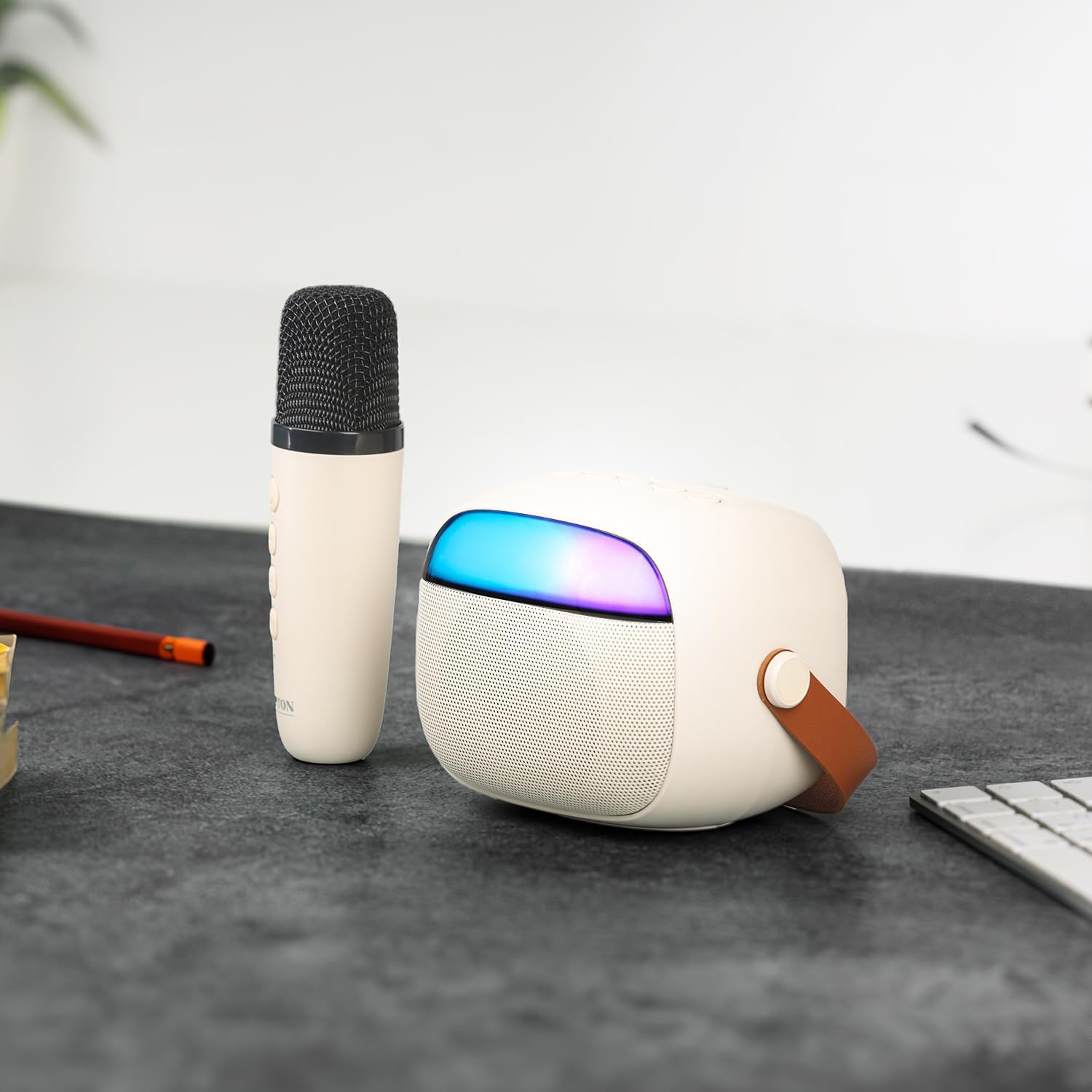 Portable Bluetooth Speaker with Wireless Microphone