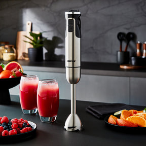 800W Silver Two-Speed Immersion Stick Blender