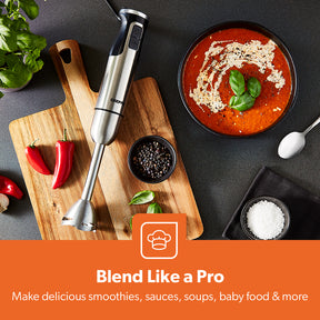 800W Silver Two-Speed Immersion Stick Blender