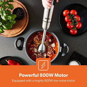 800W Silver Two-Speed Immersion Stick Blender