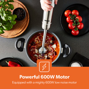 600W Two-Speed Stainless Steel Stick Blender