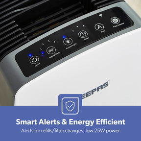 Digital 2-in-1 HEPA Air Purifier Carbon Filter with Humidifier