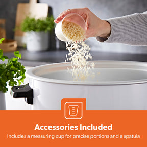 4.2L Stainless Steel Electric Non-Stick Rice Cooker