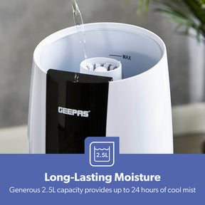 2.6L Ultrasonic 2-Speed Cool Mist Humidifier
