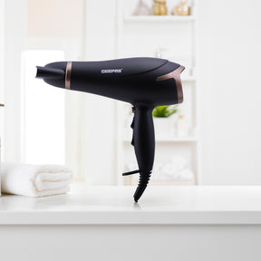2200W Powerful 2-Speed Concentrator Hair Dryer