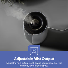 2.6L Ultrasonic 2-Speed Cool Mist Humidifier