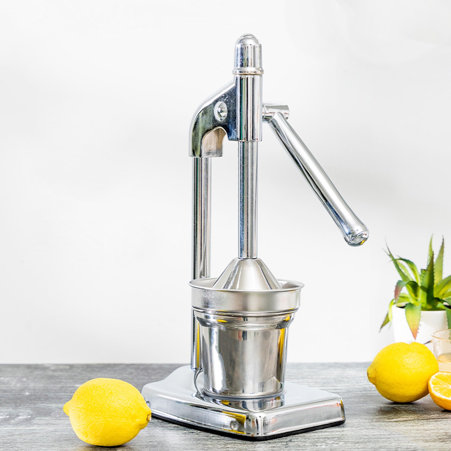 Heavy-Duty Stainless Steel Hand Press Manual Juicer