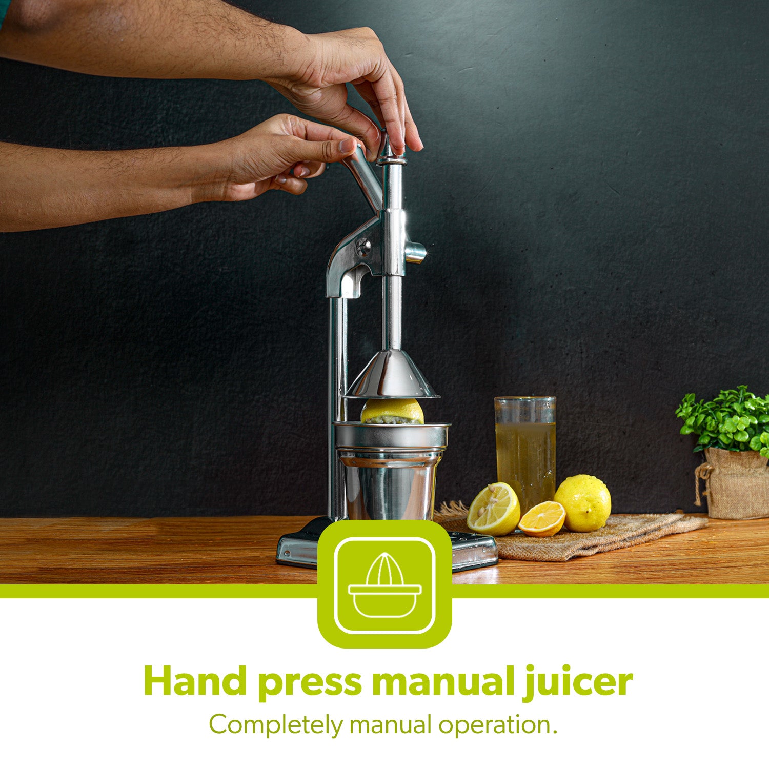 Heavy-Duty Stainless Steel Hand Press Manual Juicer