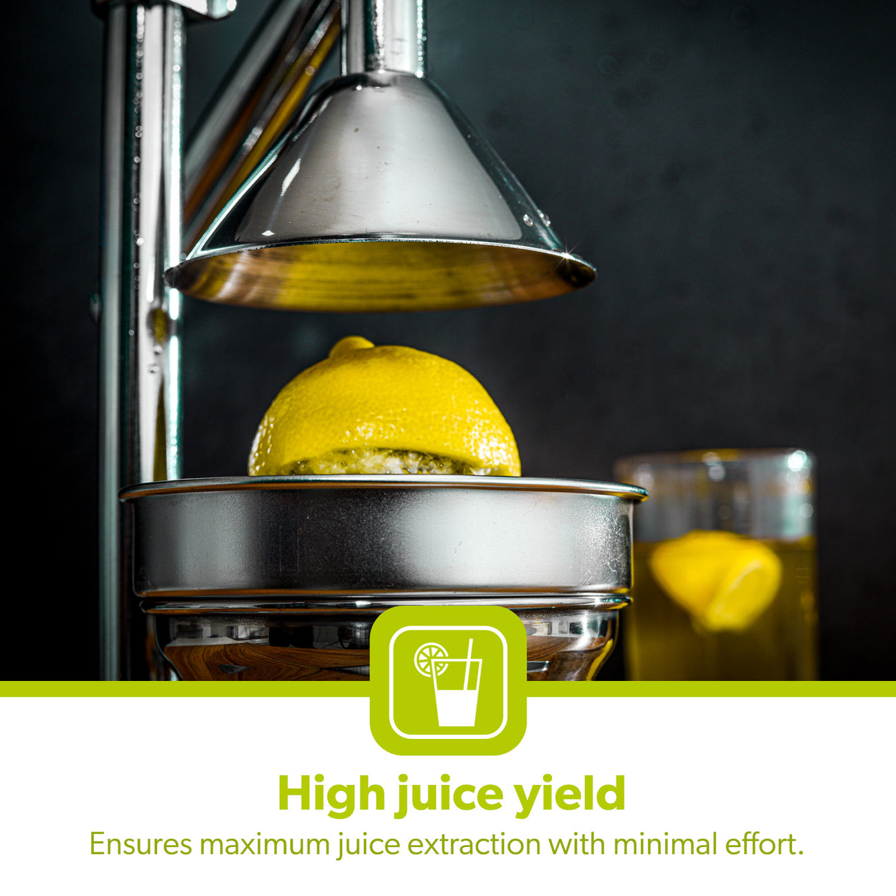Cast Iron Stainless Steel Manual Hand Juice Press | Royalford UK