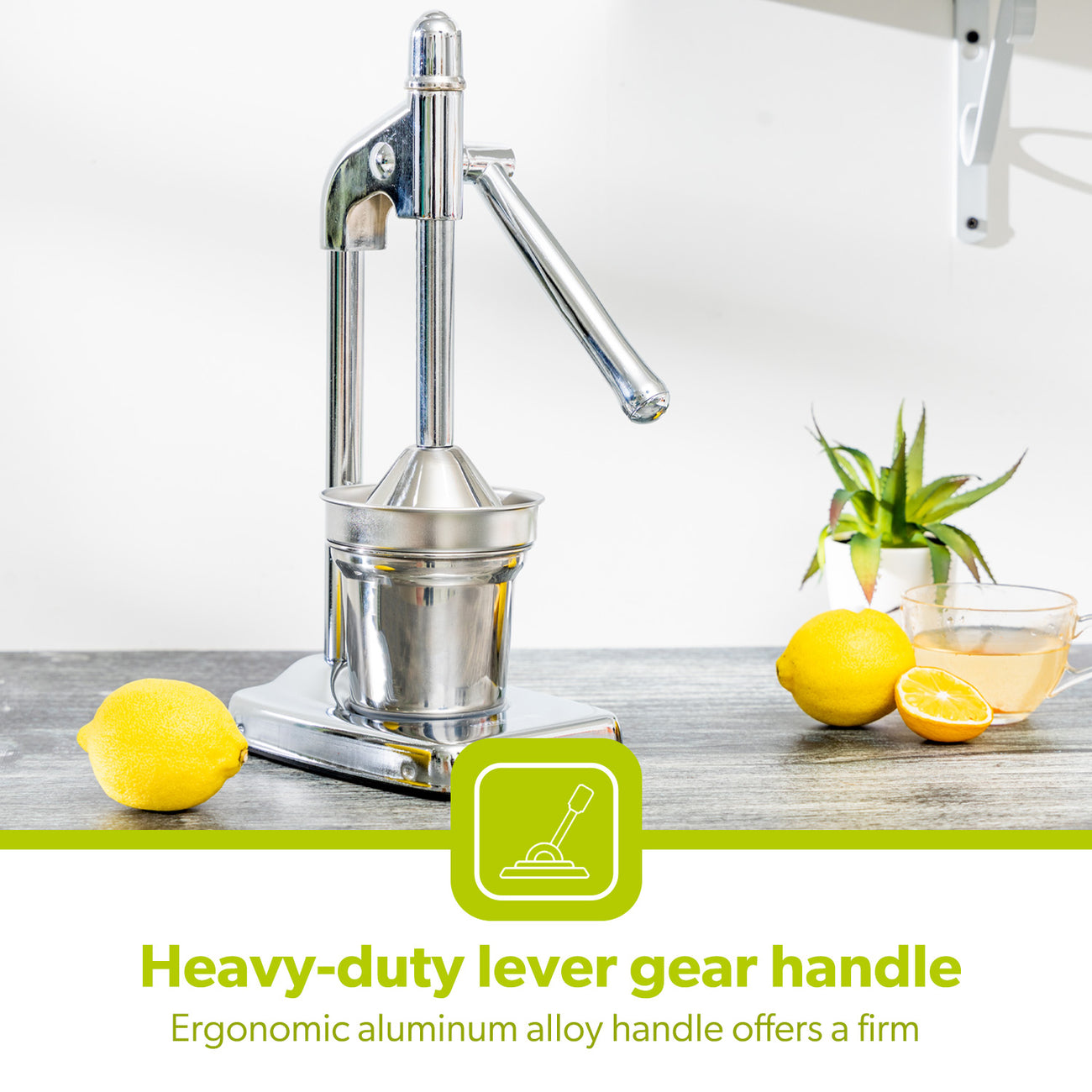 Cast Iron Stainless Steel Manual Hand Juice Press | Royalford UK