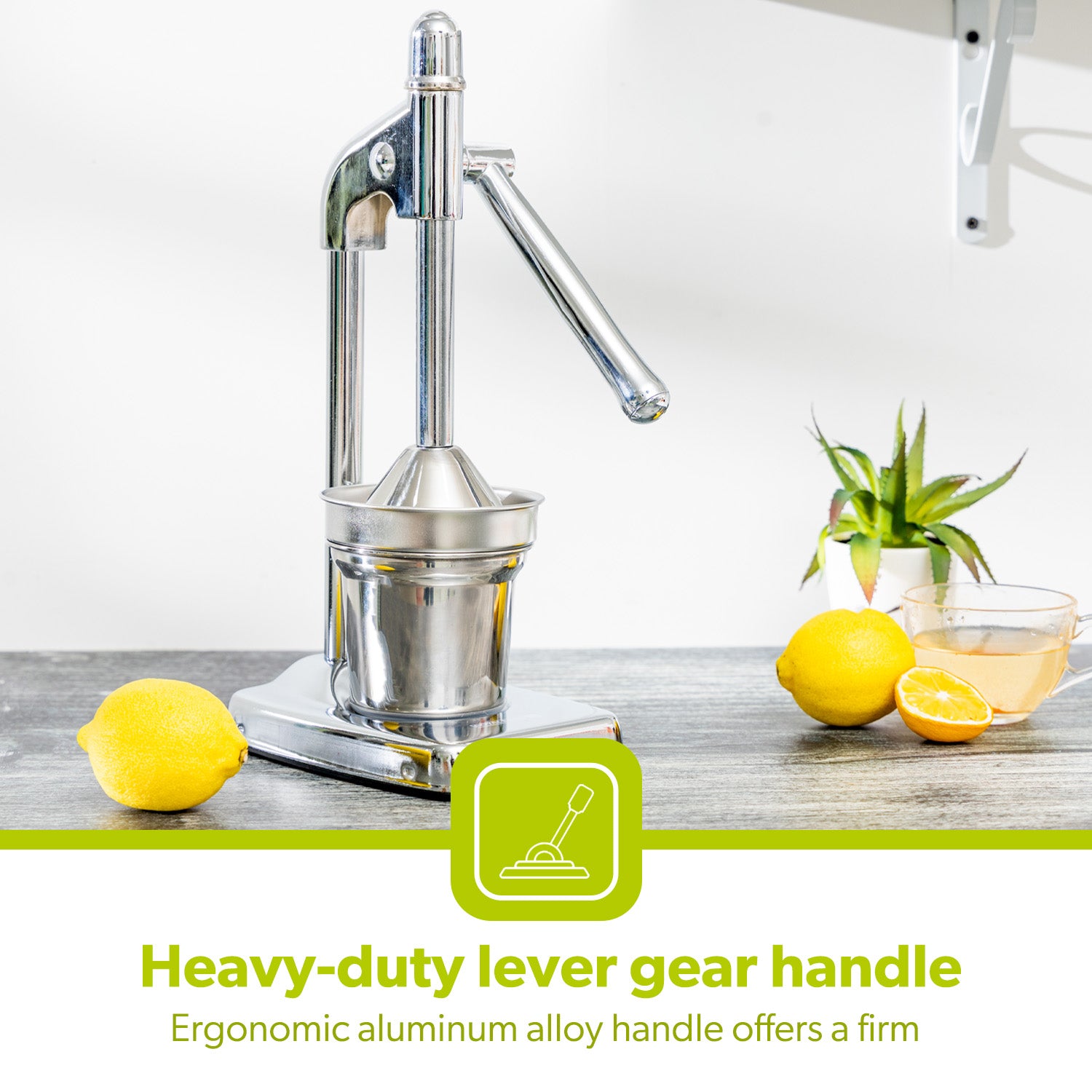 Heavy-Duty Stainless Steel Hand Press Manual Juicer