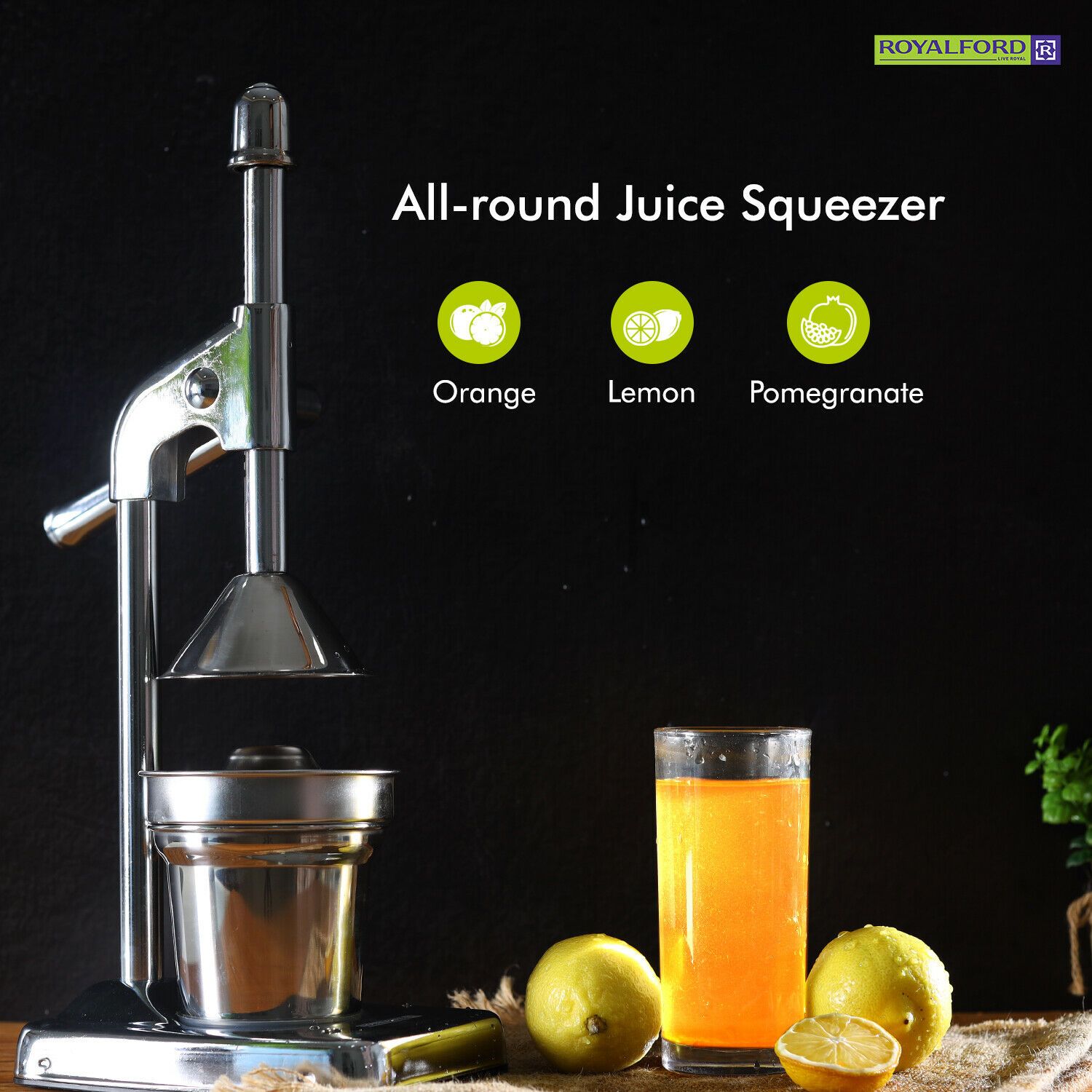 Manual Hand Press Juice Extractor Juicer Royalford 